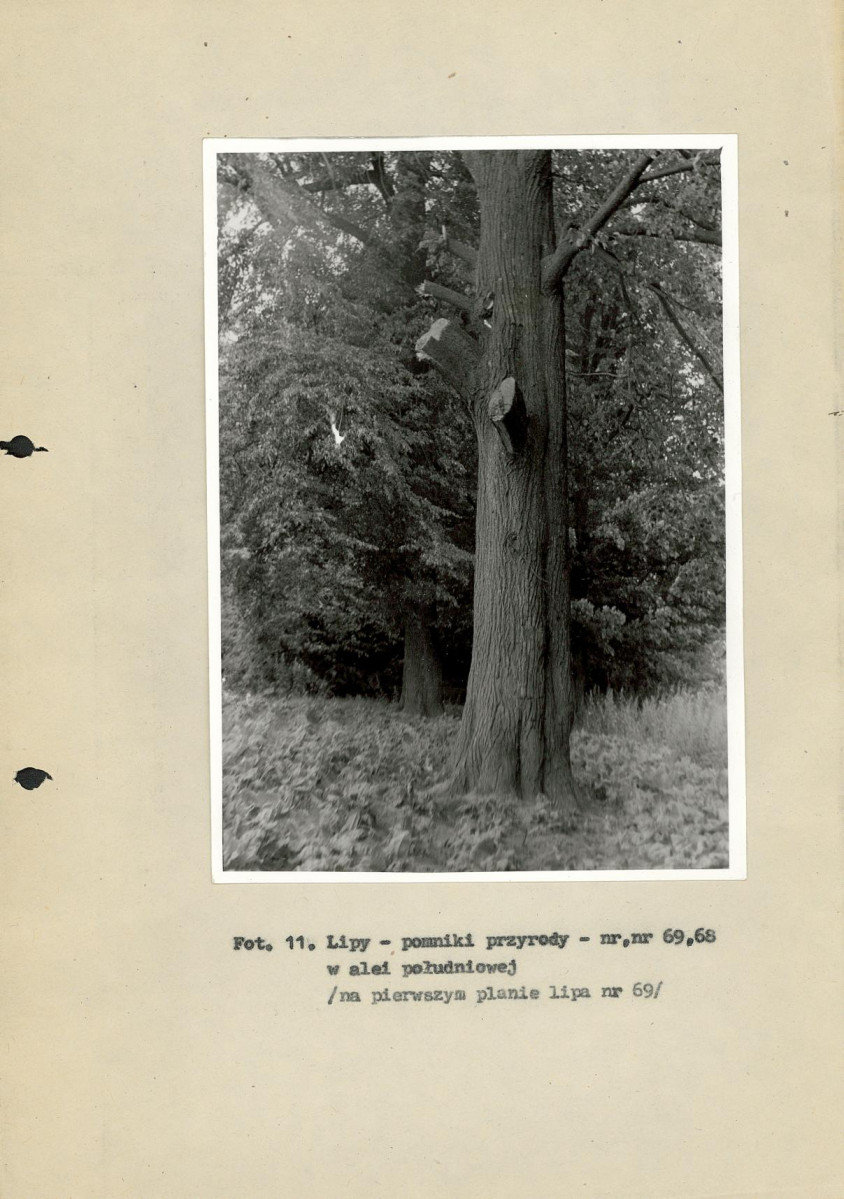 Ewidencja parkowa, skan nr 42
