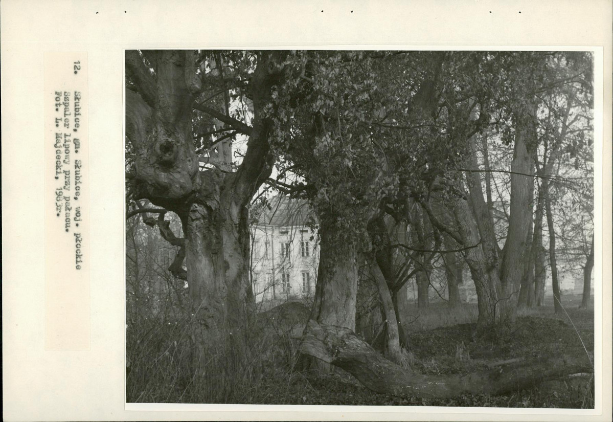Ewidencja parkowa, skan nr 36