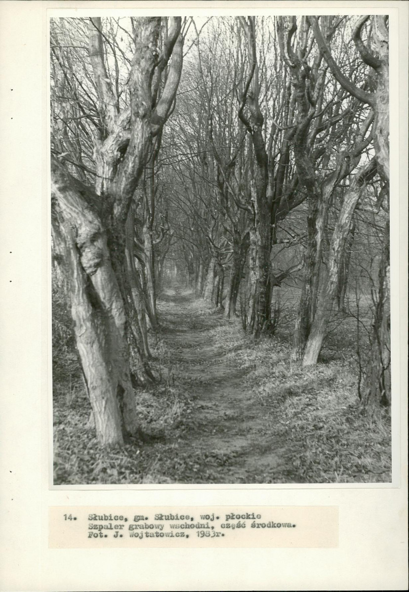 Ewidencja parkowa, skan nr 38