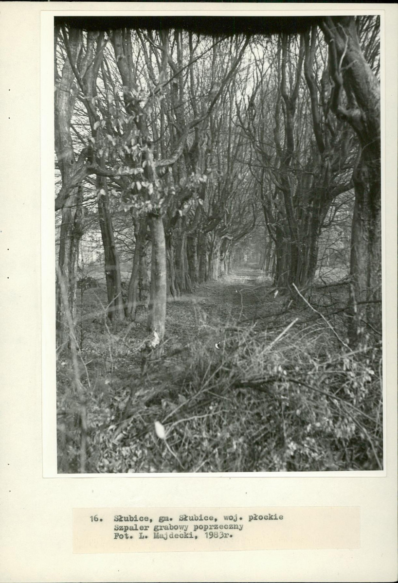 Ewidencja parkowa, skan nr 40