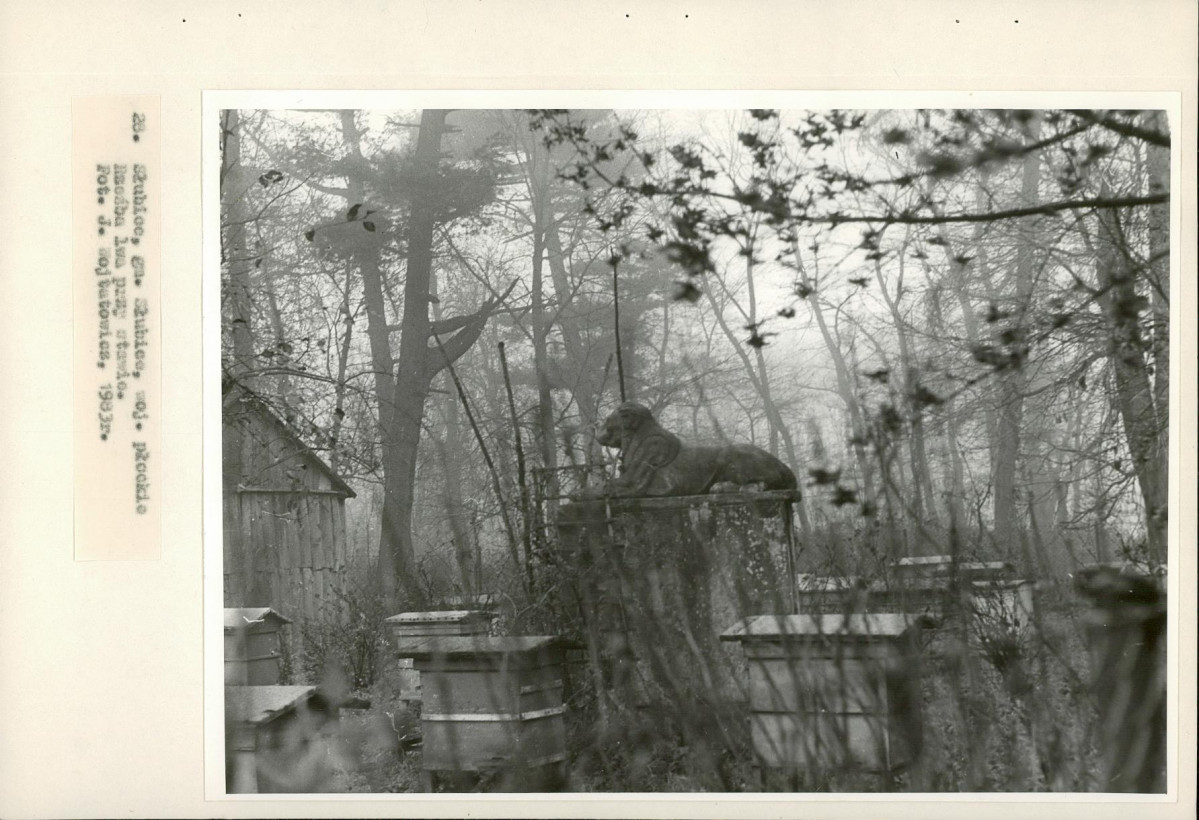 Ewidencja parkowa, skan nr 52