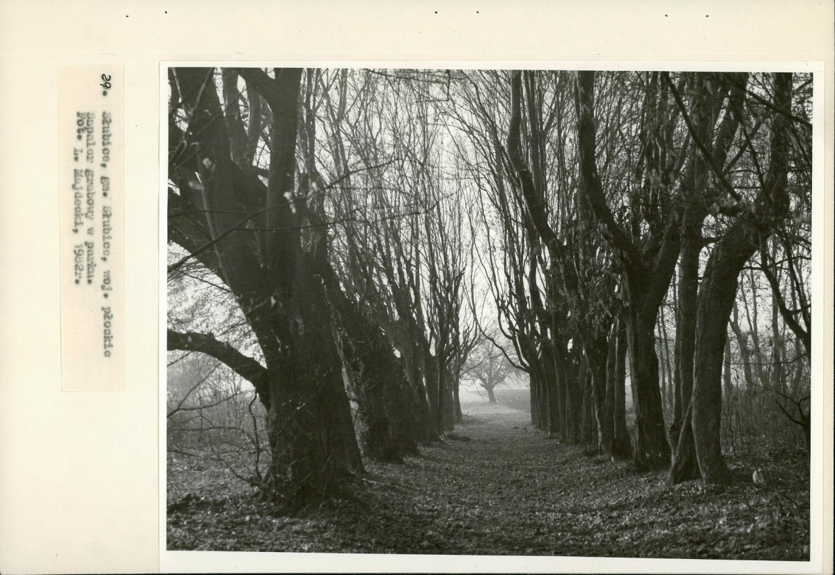 Ewidencja parkowa, skan nr 53