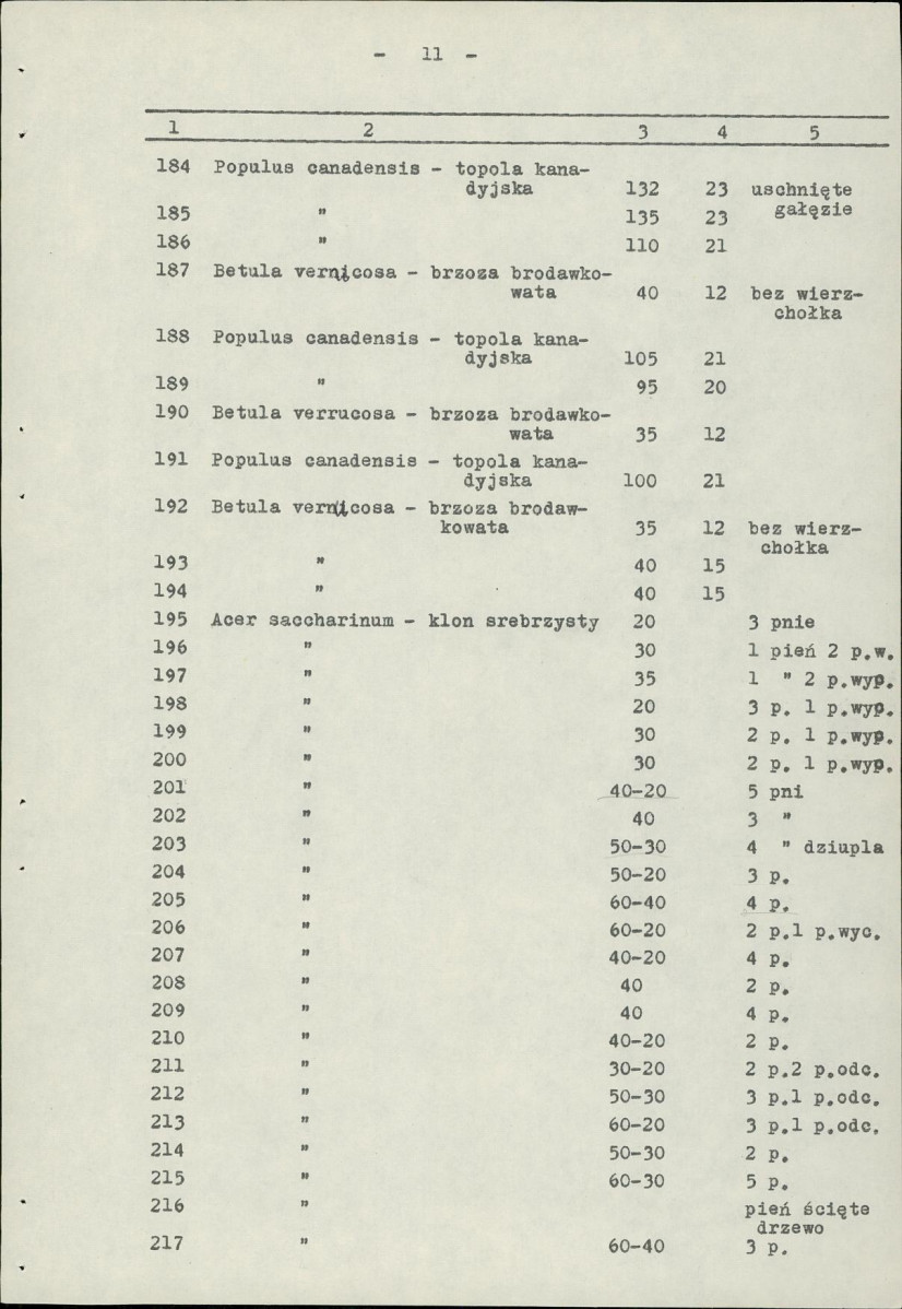 Ewidencja parkowa, skan nr 15