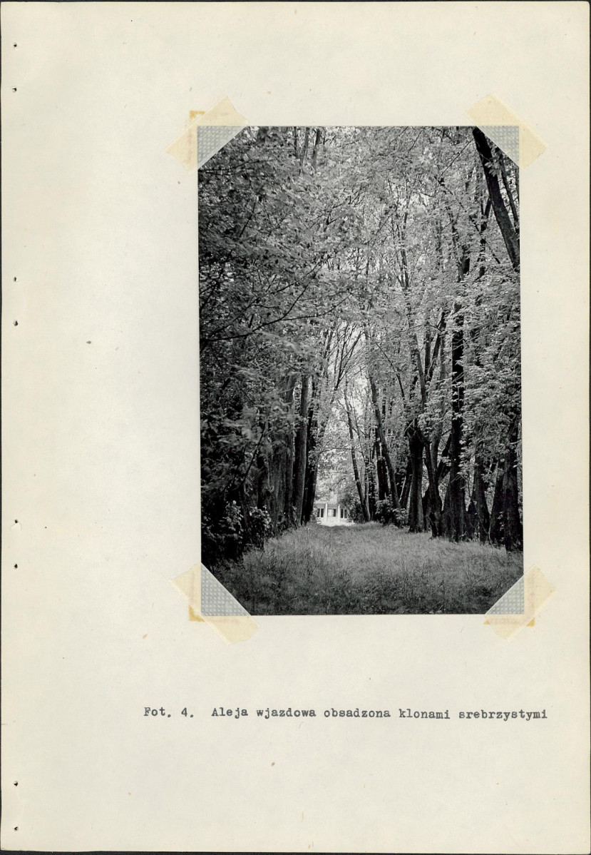 Ewidencja parkowa, skan nr 30