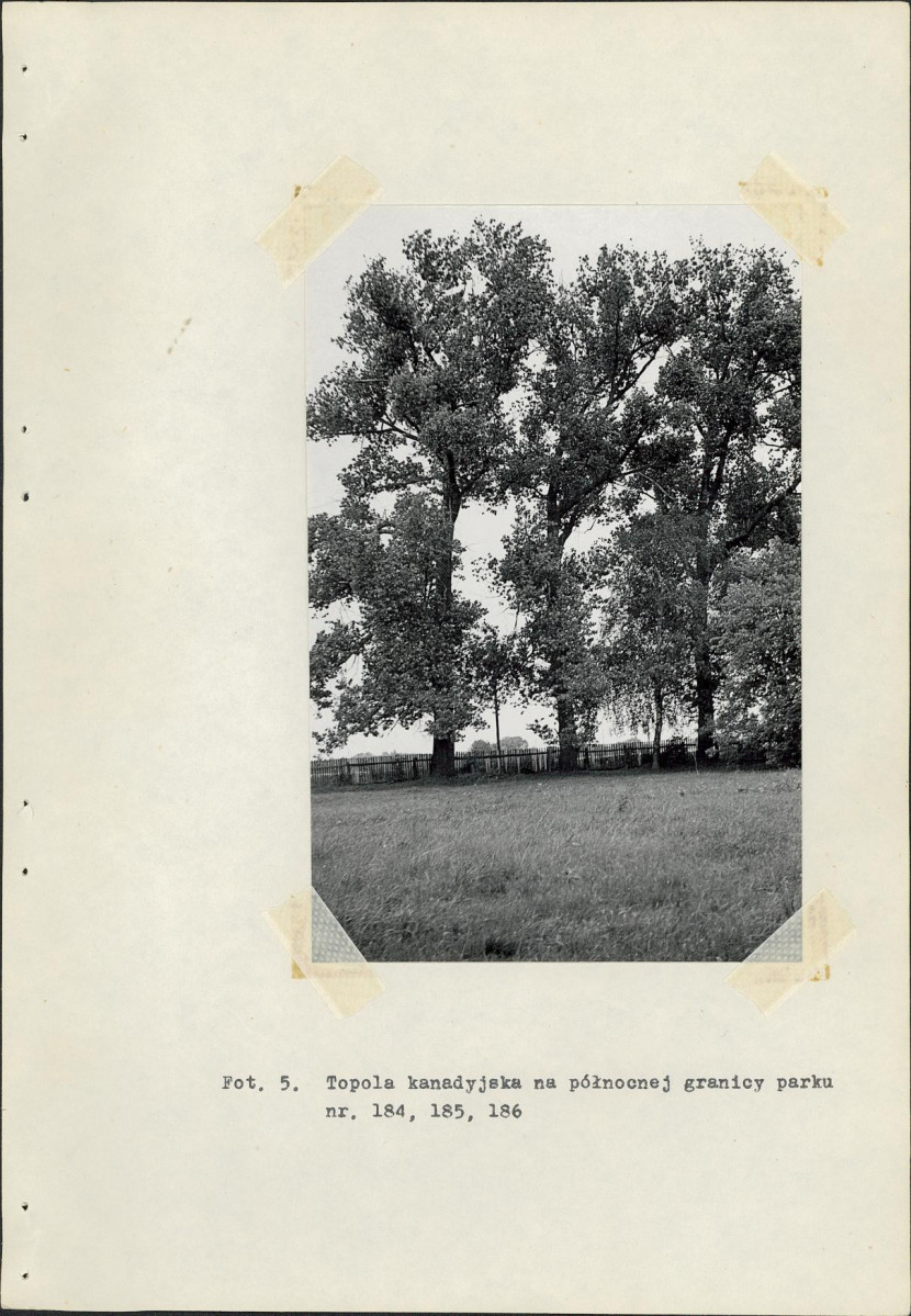 Ewidencja parkowa, skan nr 31