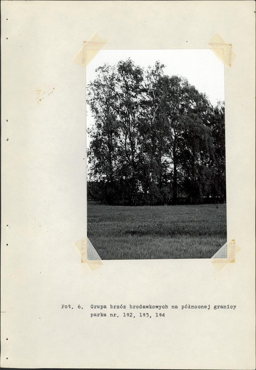 Ewidencja parkowa, skan nr 32