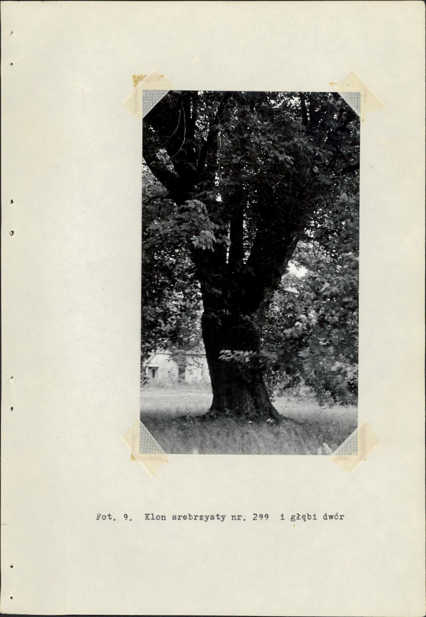 Ewidencja parkowa, skan nr 35