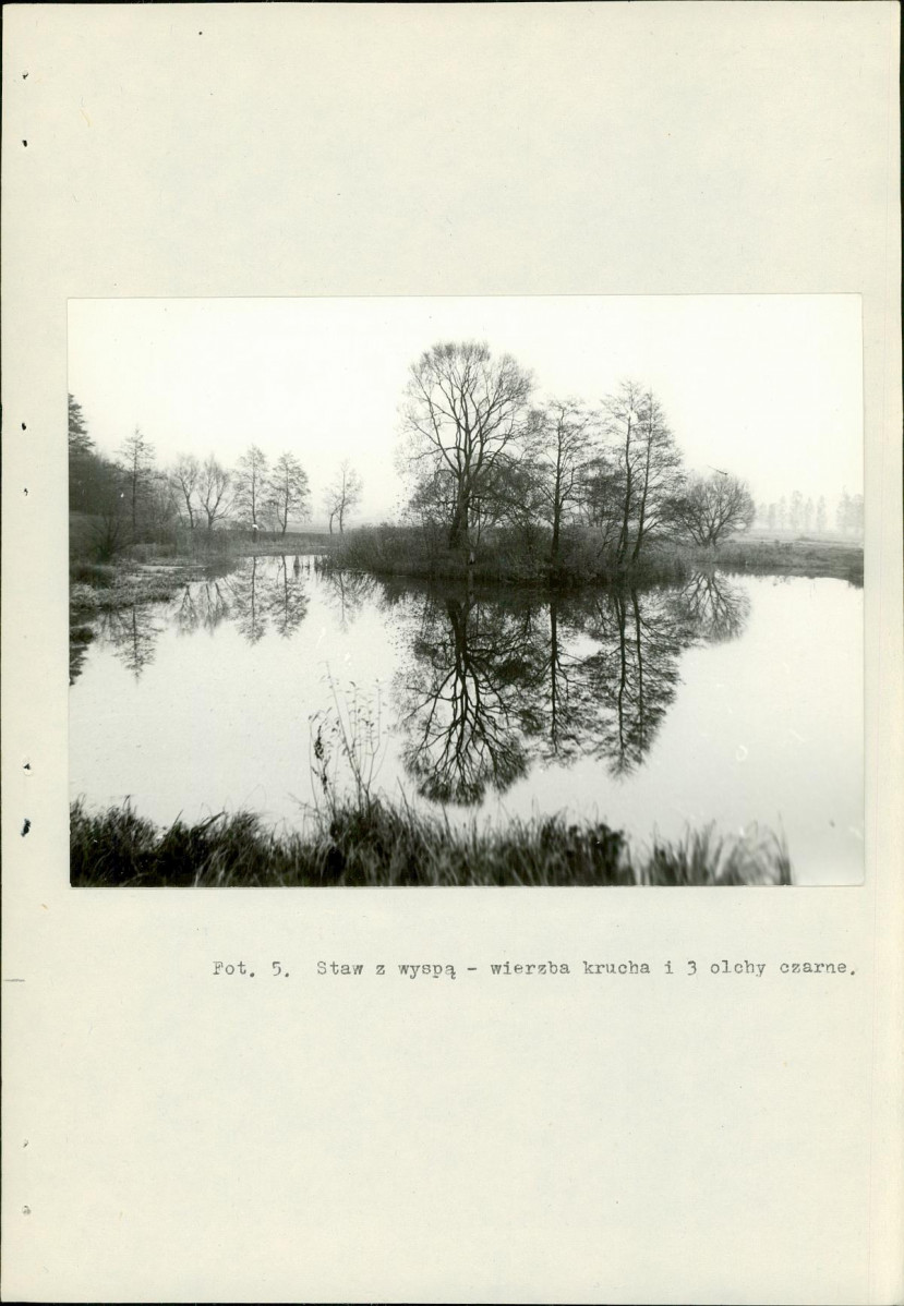 Ewidencja parkowa, skan nr 20