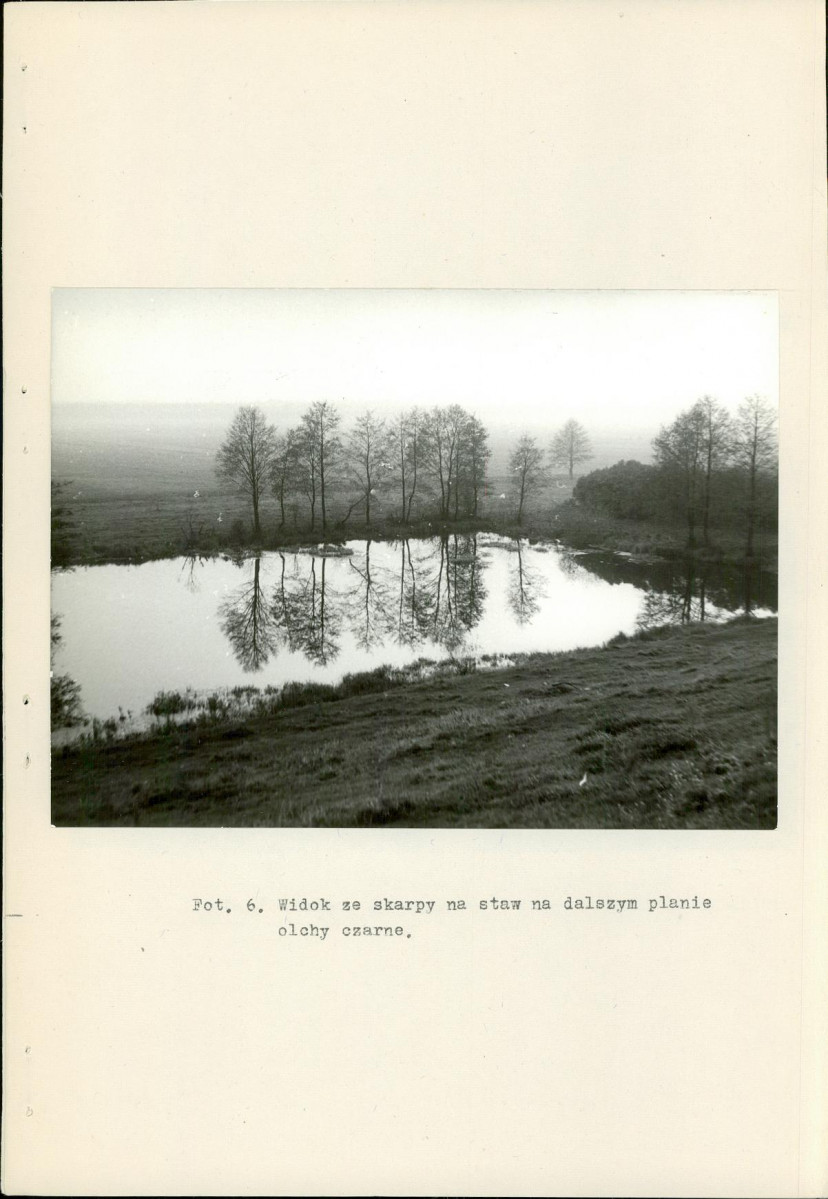 Ewidencja parkowa, skan nr 21