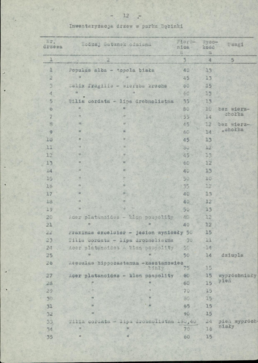Ewidencja parkowa, skan nr 19