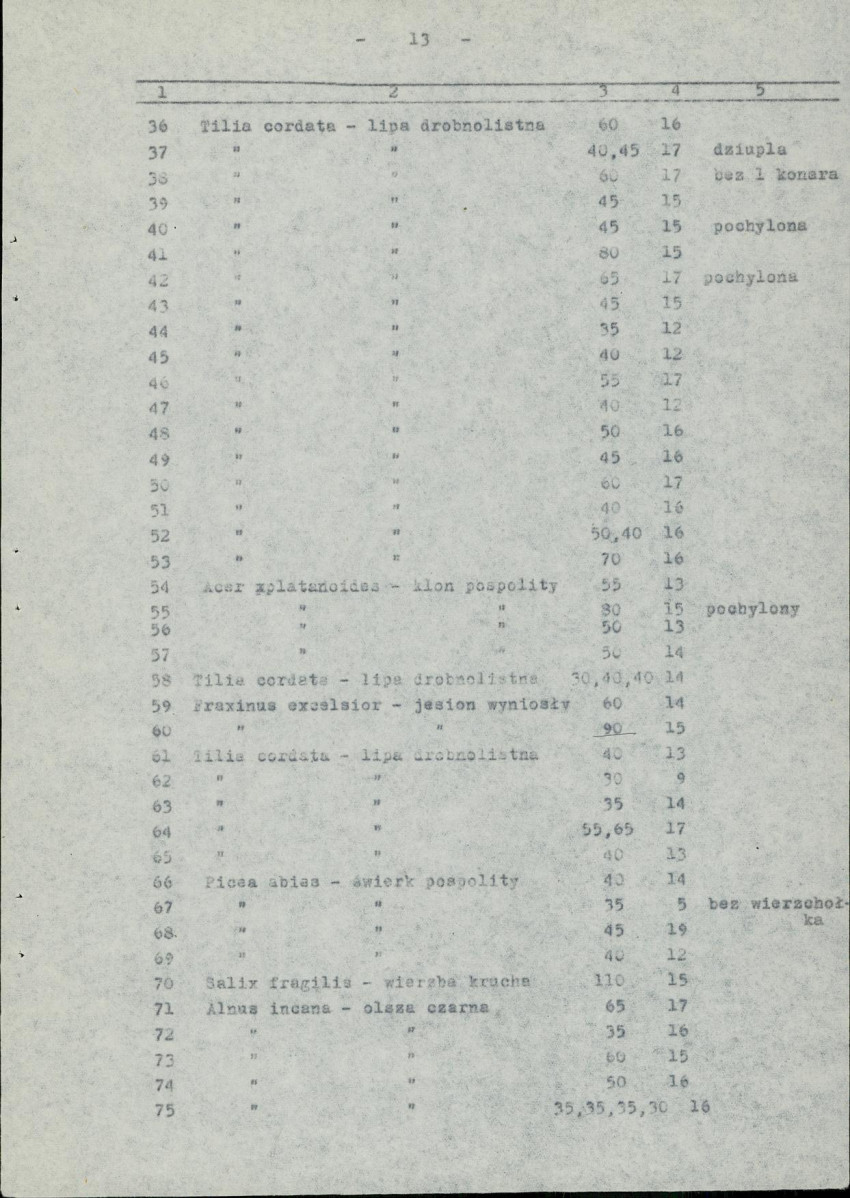 Ewidencja parkowa, skan nr 20