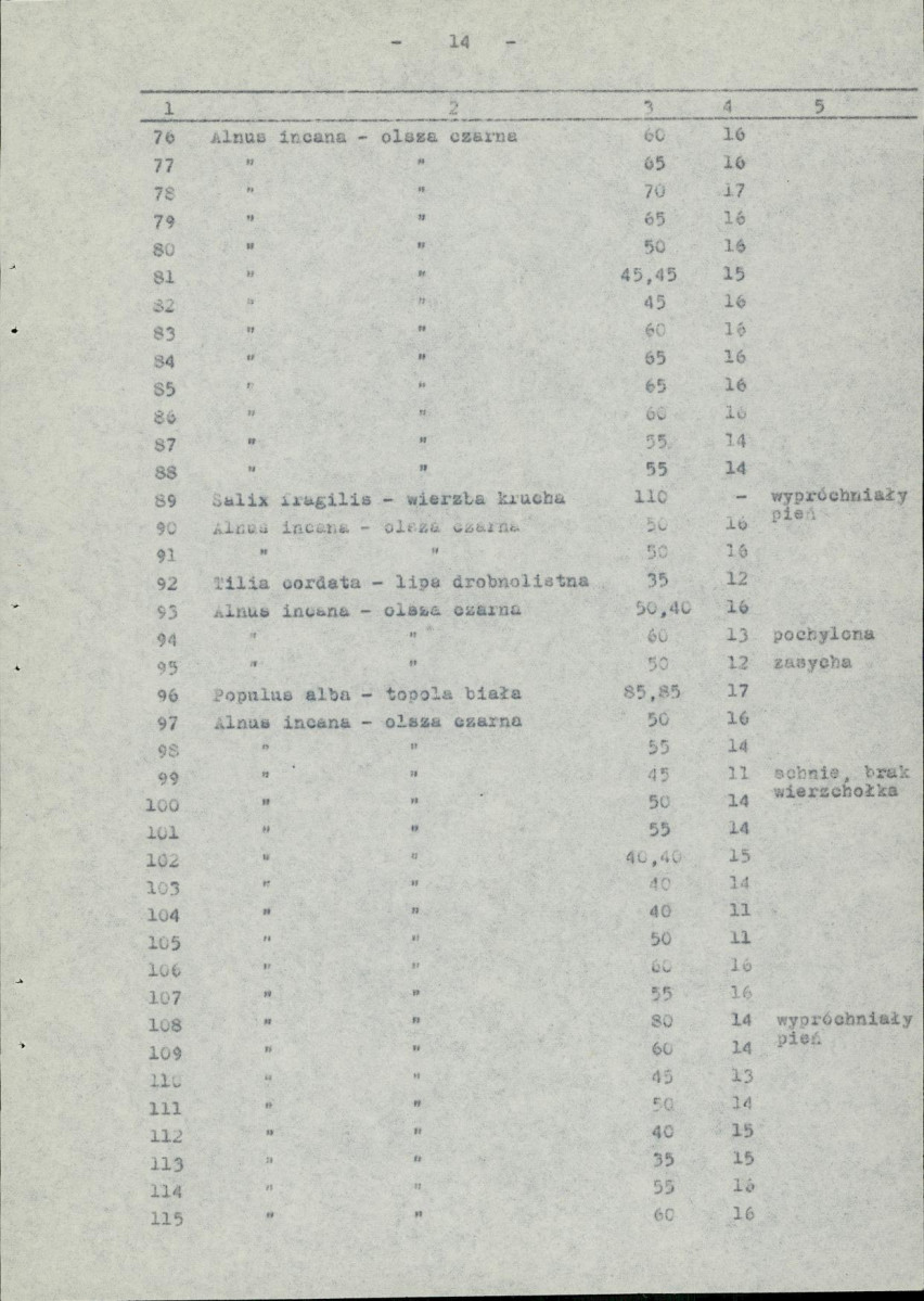 Ewidencja parkowa, skan nr 21