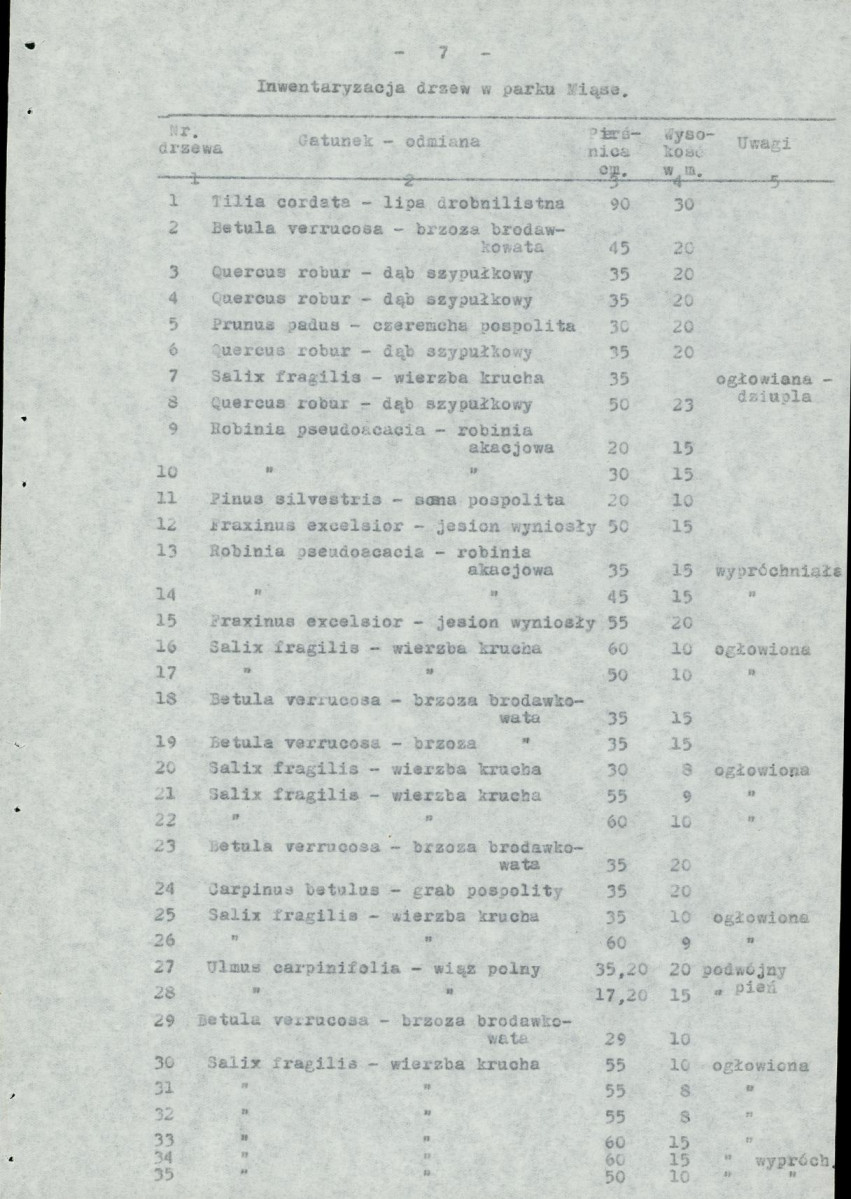 Ewidencja parkowa, skan nr 12