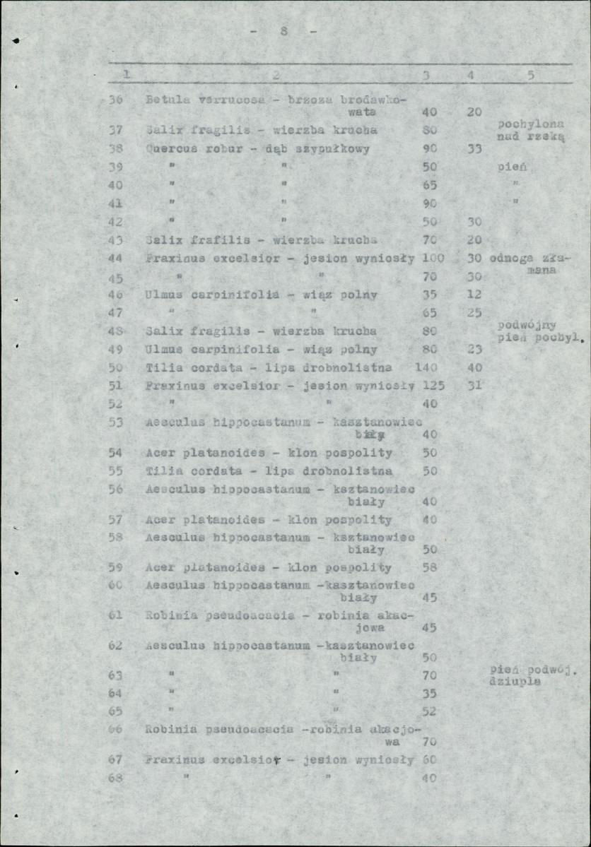 Ewidencja parkowa, skan nr 13