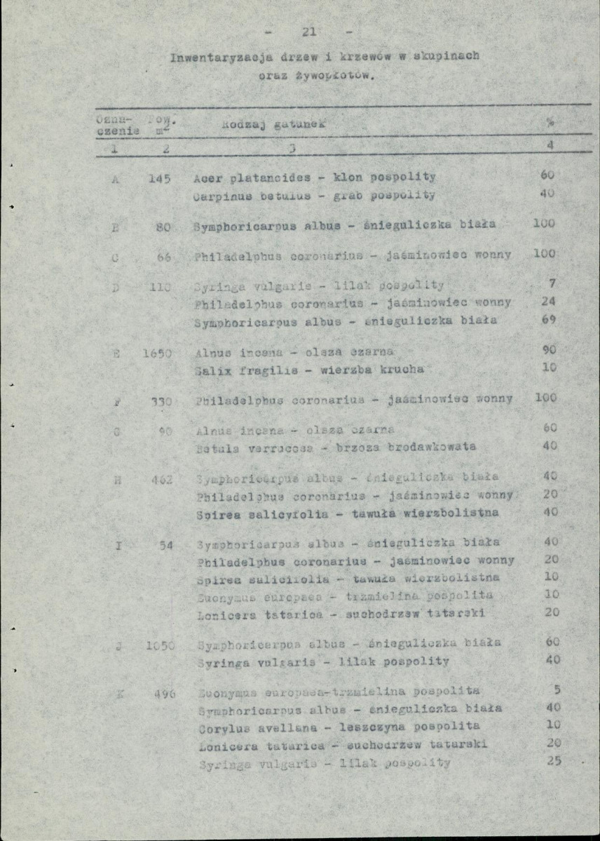 Ewidencja parkowa, skan nr 28