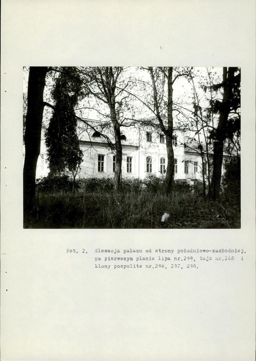Ewidencja parkowa, skan nr 37