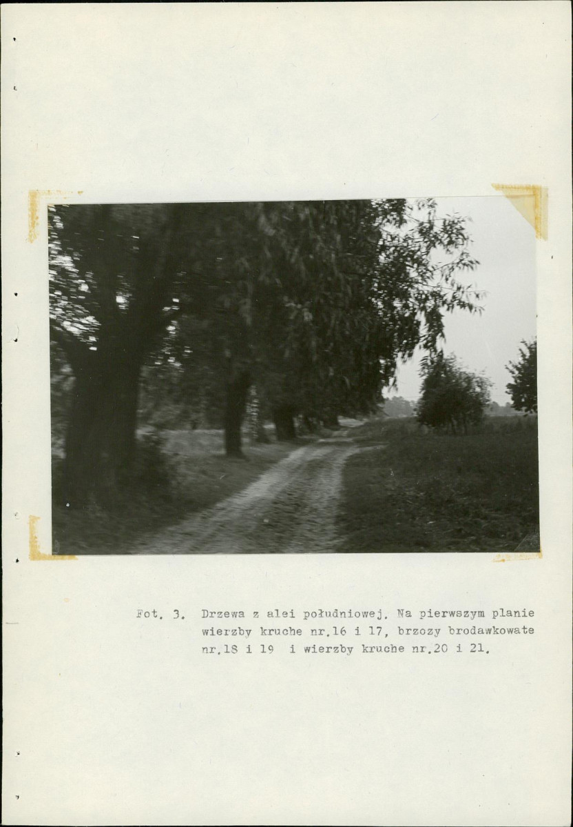 Ewidencja parkowa, skan nr 23