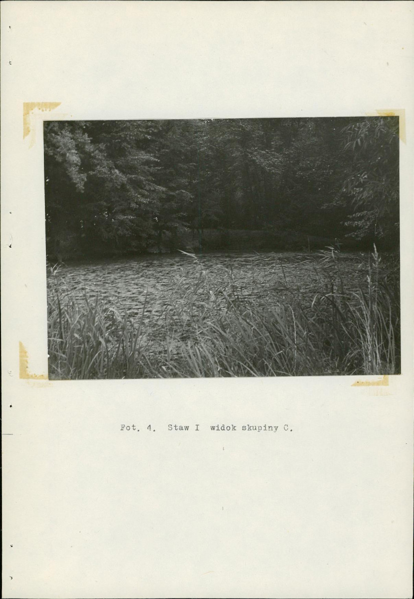 Ewidencja parkowa, skan nr 24