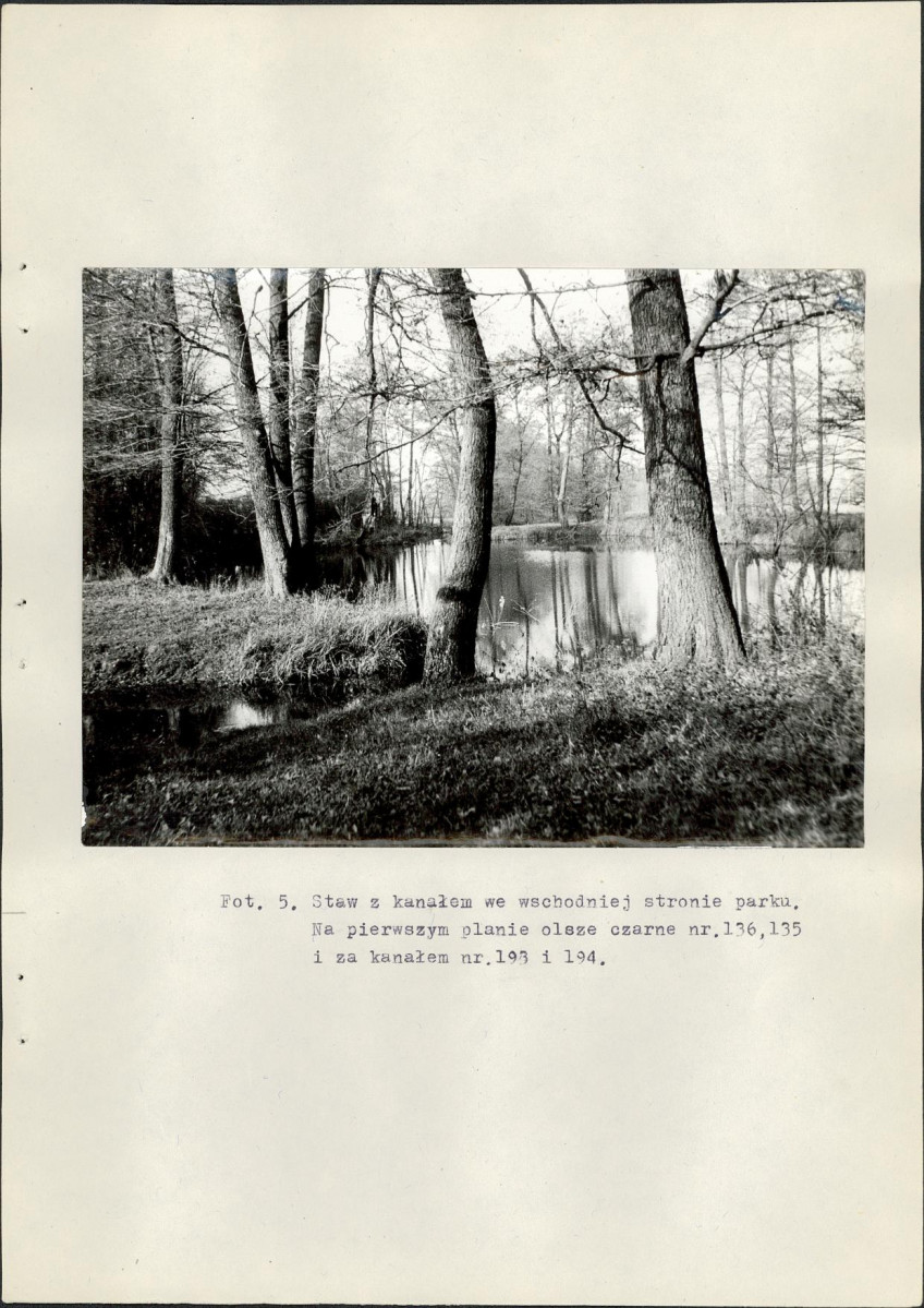 Ewidencja parkowa, skan nr 40