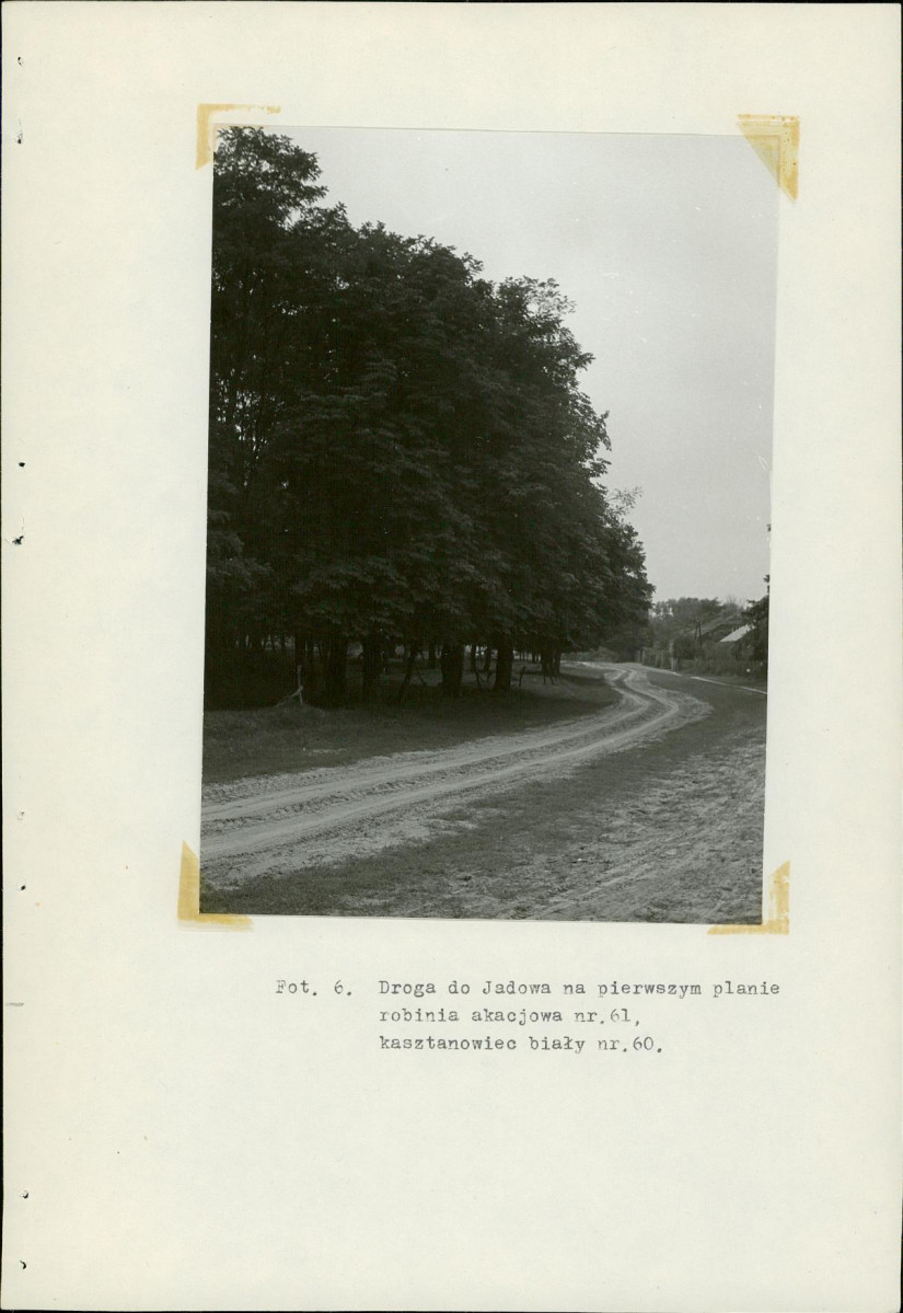 Ewidencja parkowa, skan nr 26