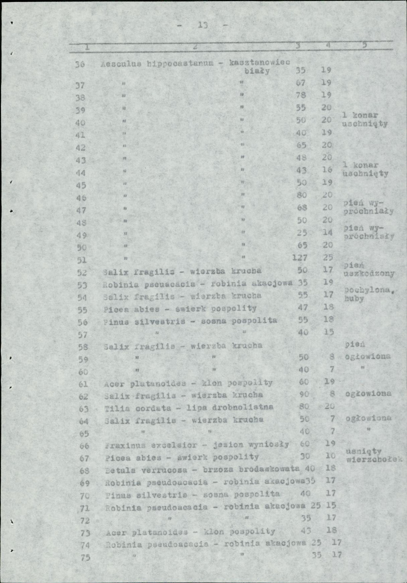 Ewidencja parkowa, skan nr 18