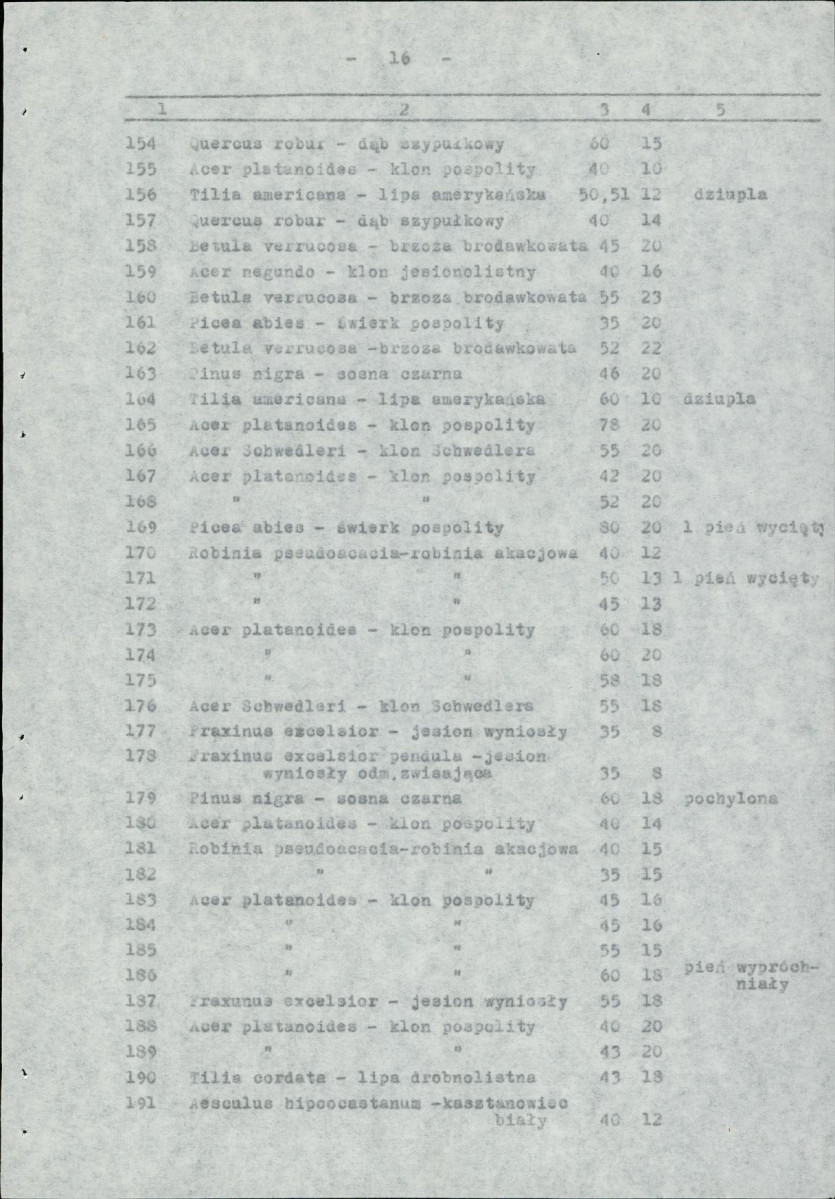 Ewidencja parkowa, skan nr 21
