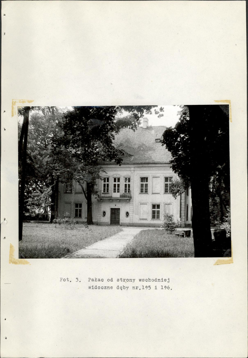 Ewidencja parkowa, skan nr 38