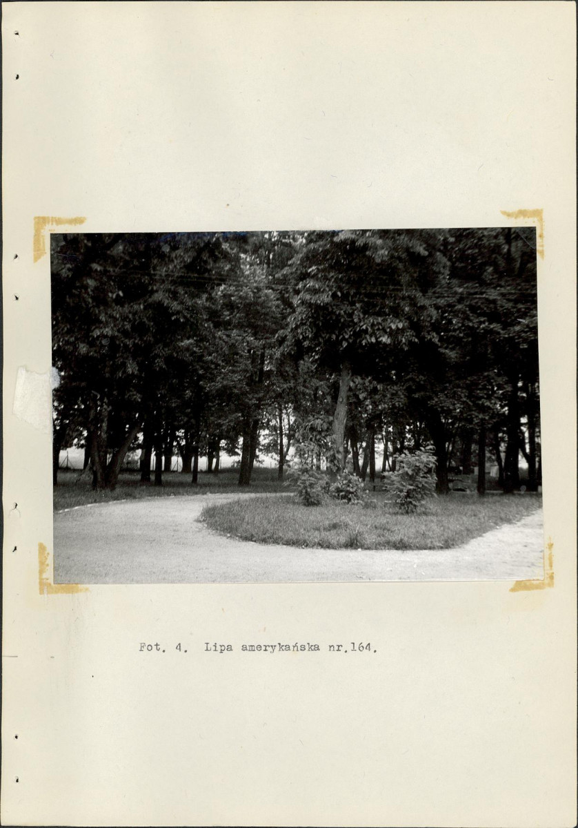 Ewidencja parkowa, skan nr 39