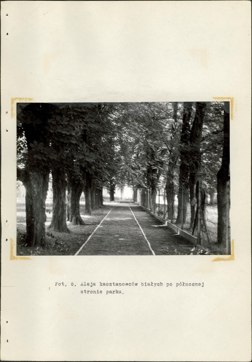 Ewidencja parkowa, skan nr 41