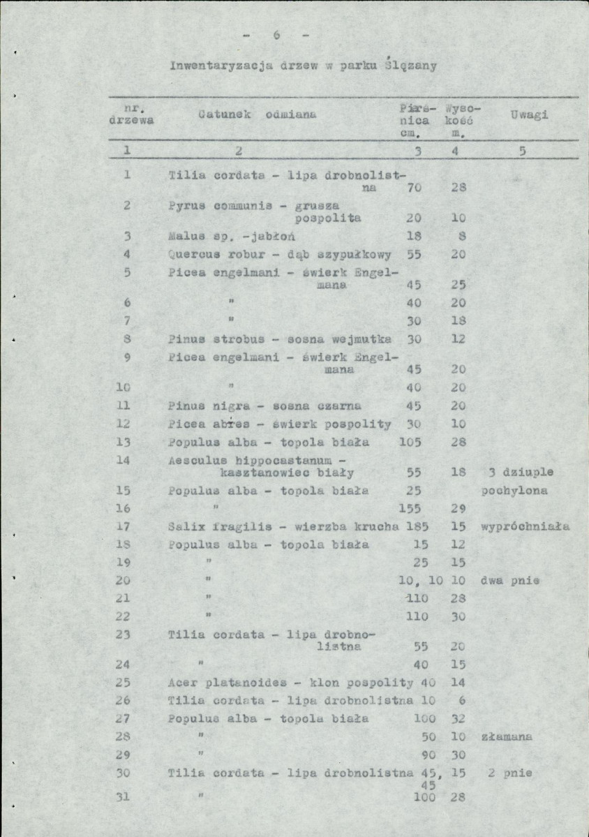 Ewidencja parkowa, skan nr 11