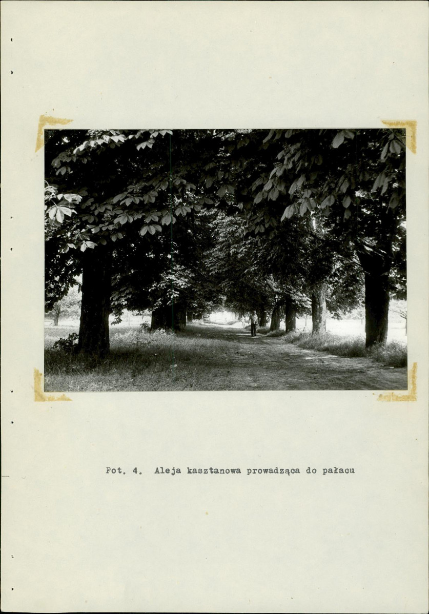 Ewidencja parkowa, skan nr 22