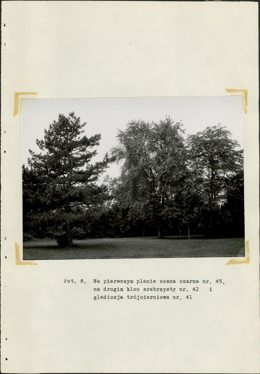 Ewidencja parkowa, skan nr 26
