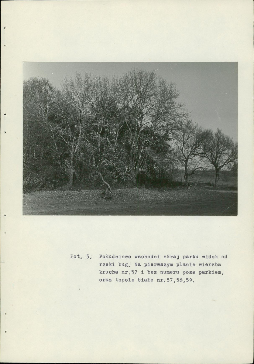 Ewidencja parkowa, skan nr 35