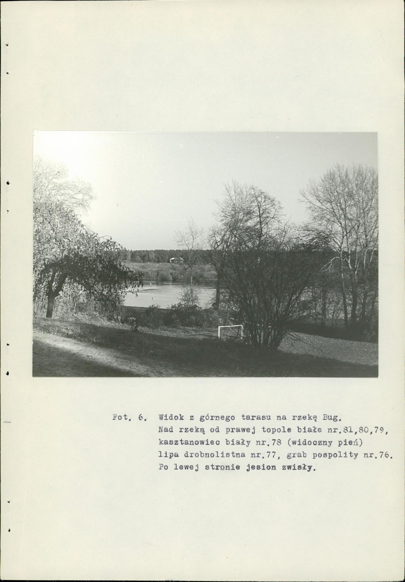 Ewidencja parkowa, skan nr 36