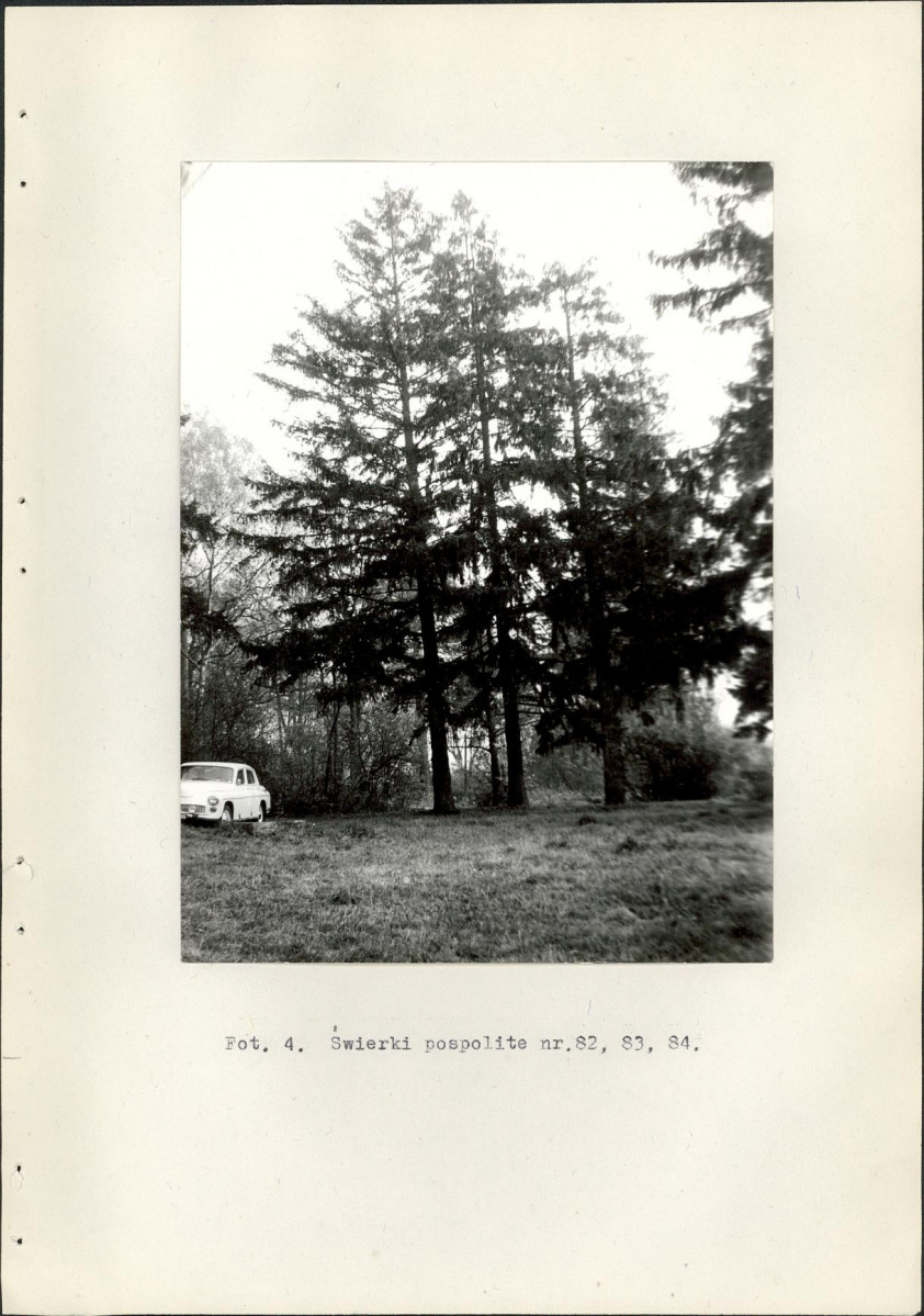 Ewidencja parkowa, skan nr 32