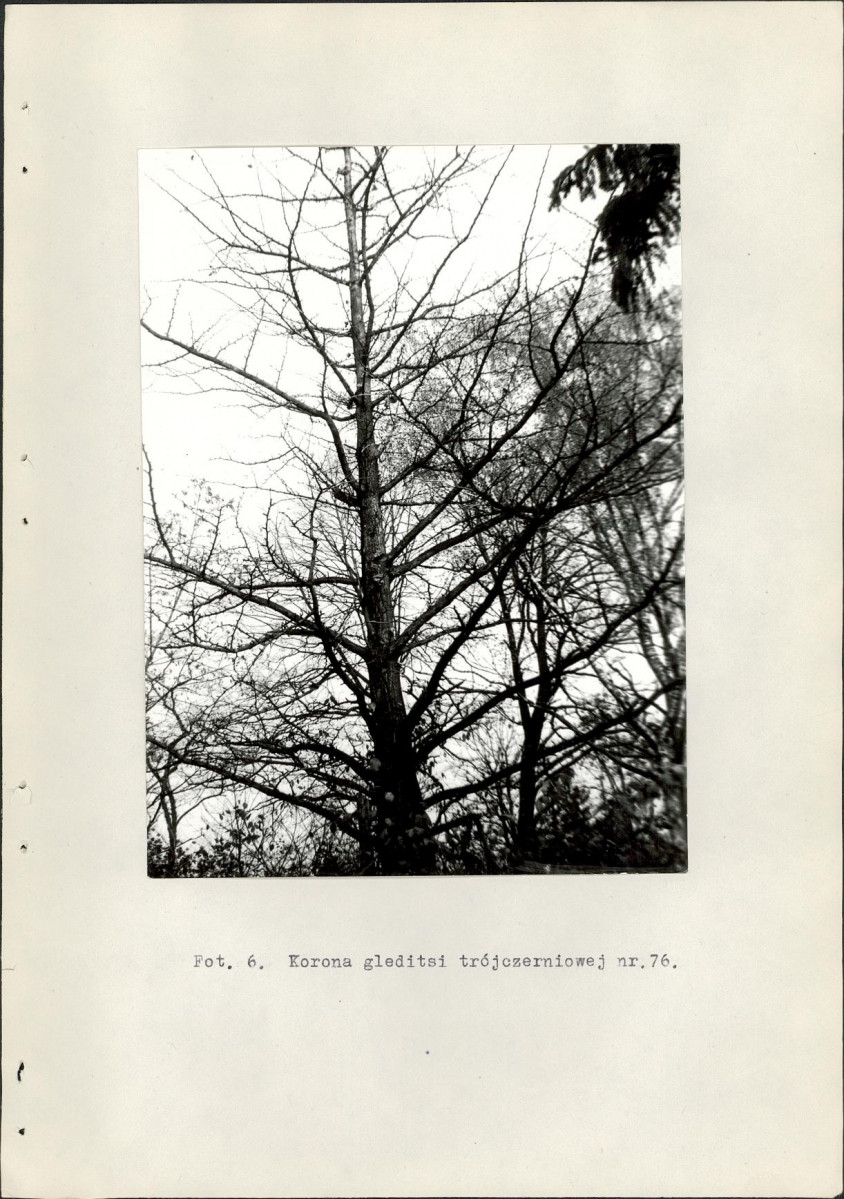 Ewidencja parkowa, skan nr 34