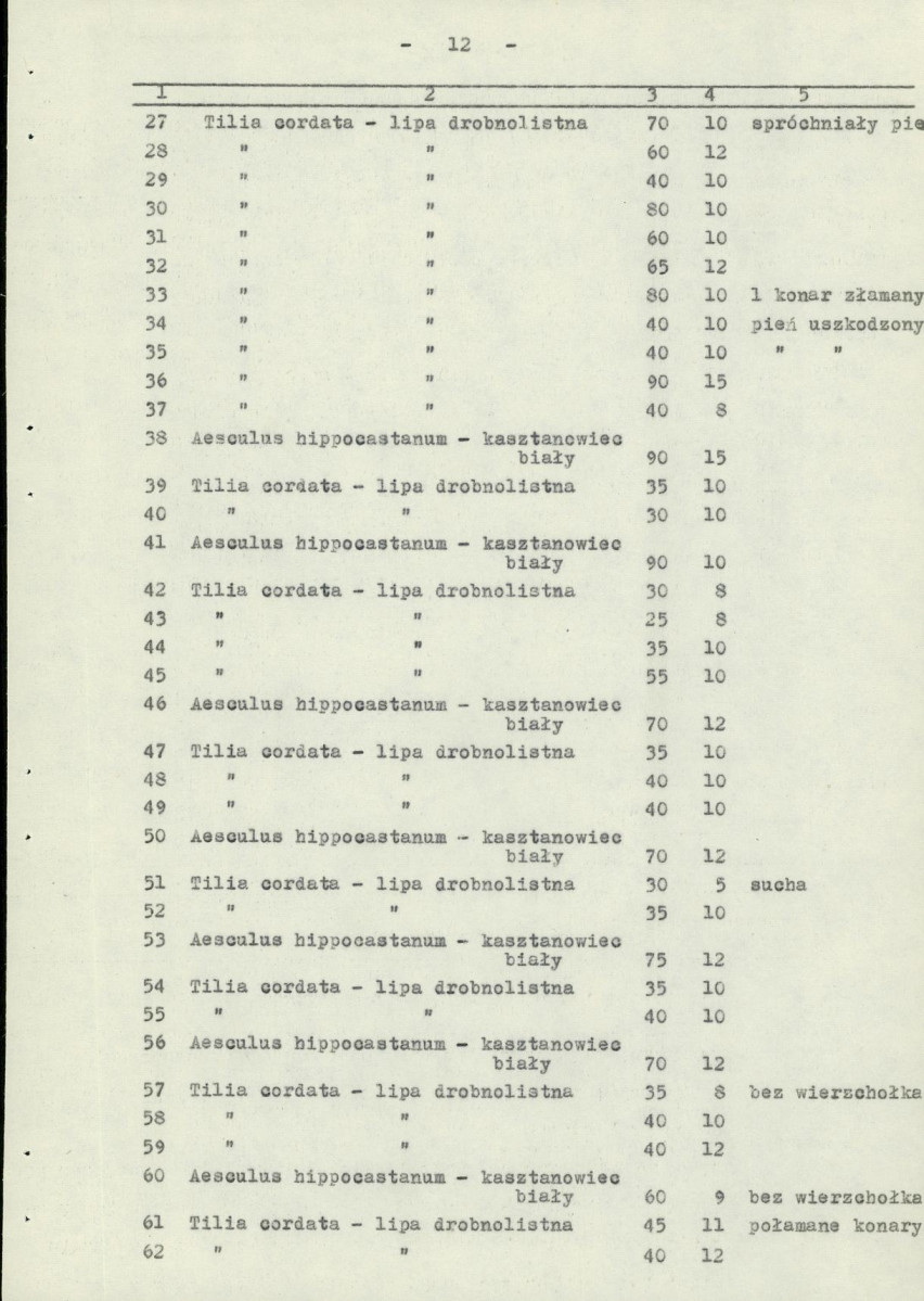 EP - Ewidencja parkowa, skan nr 19