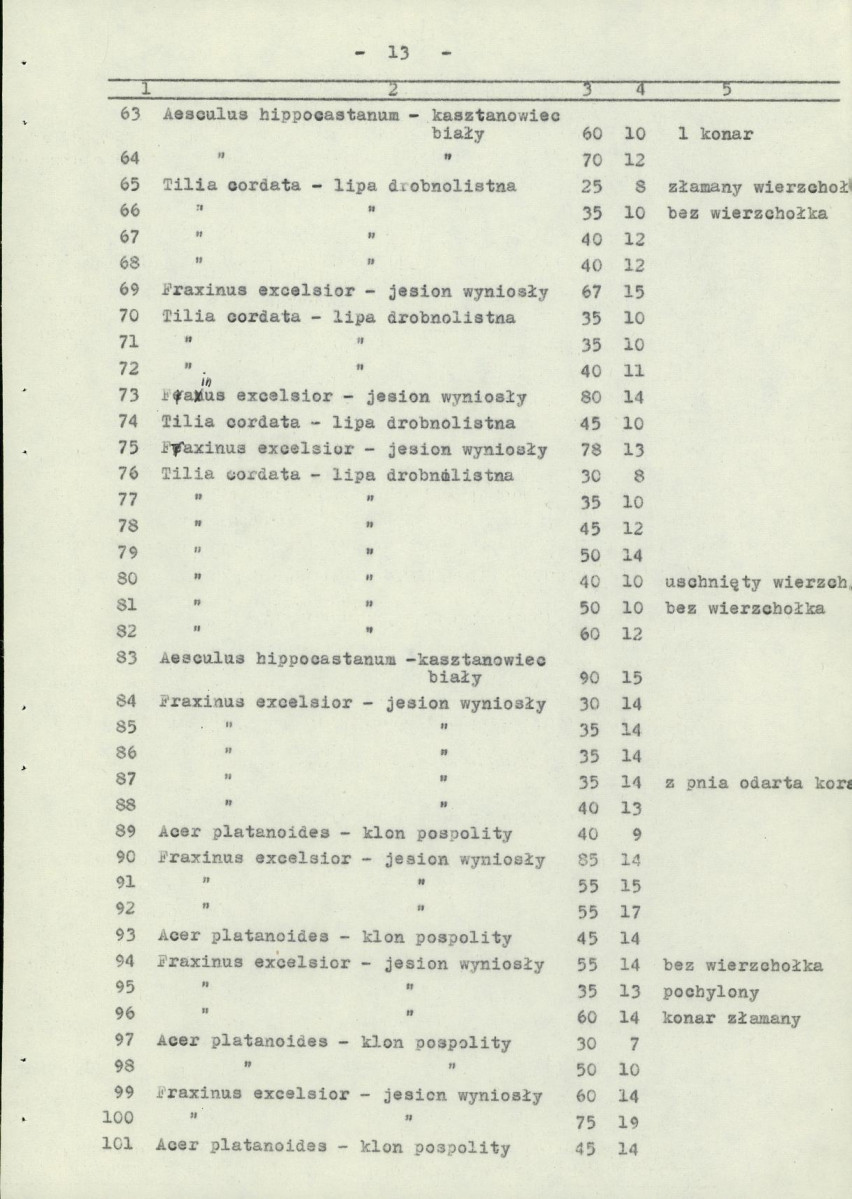 EP - Ewidencja parkowa, skan nr 20