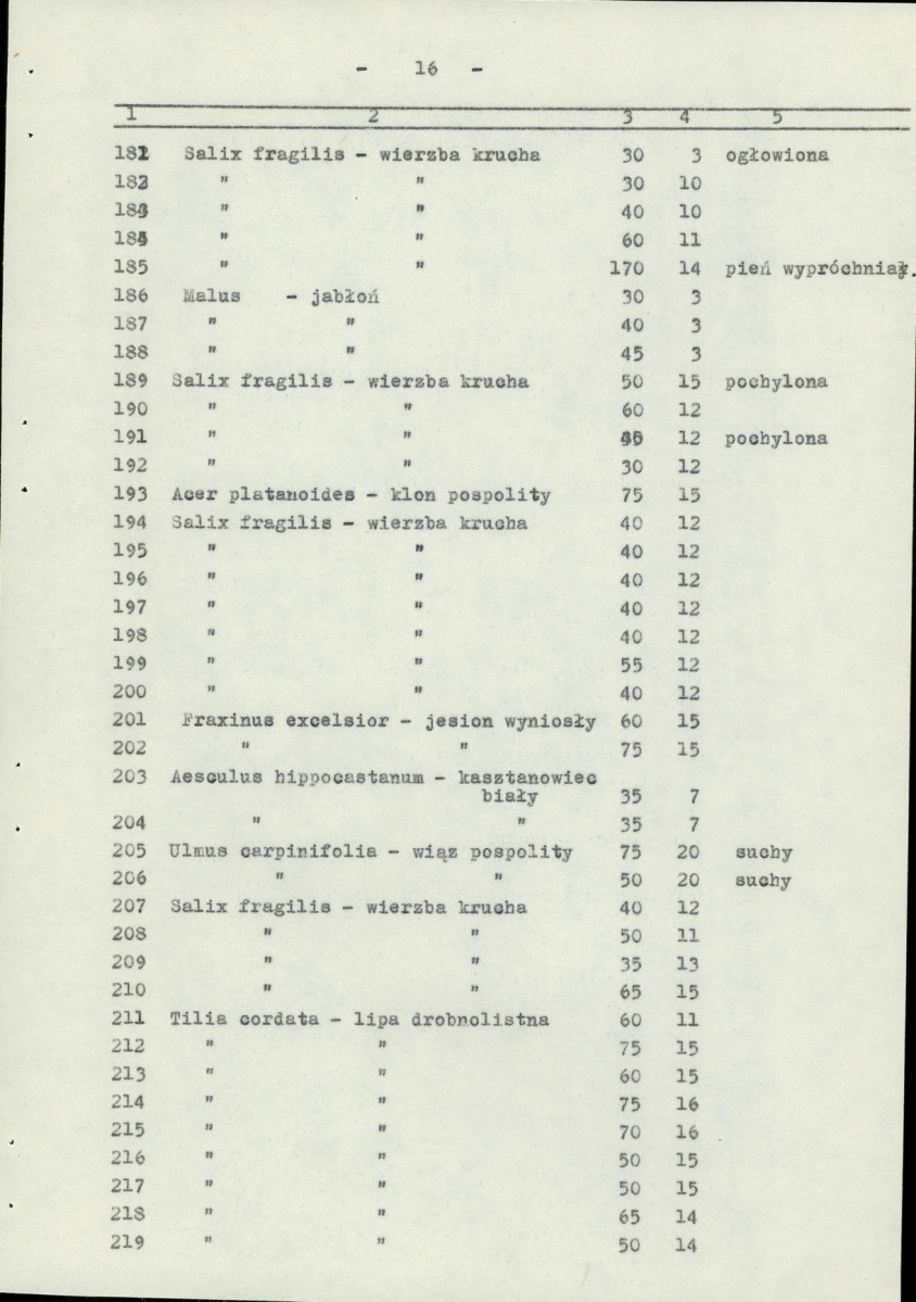 EP - Ewidencja parkowa, skan nr 23