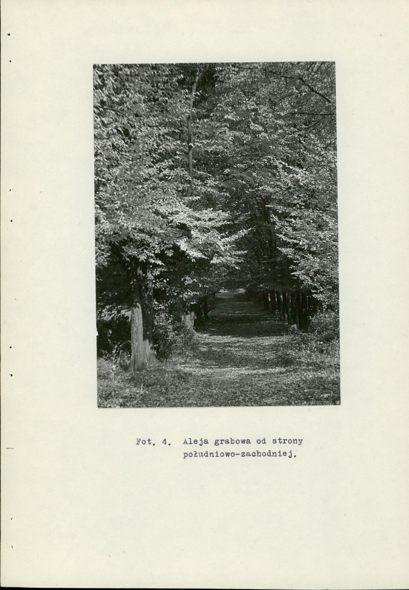 EP - Ewidencja parkowa, skan nr 38