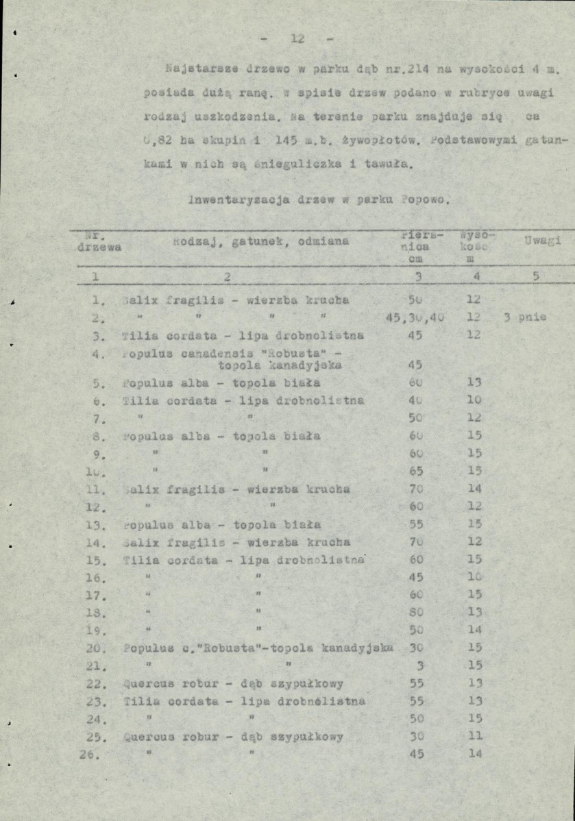 Ewidencja parkowa, skan nr 19