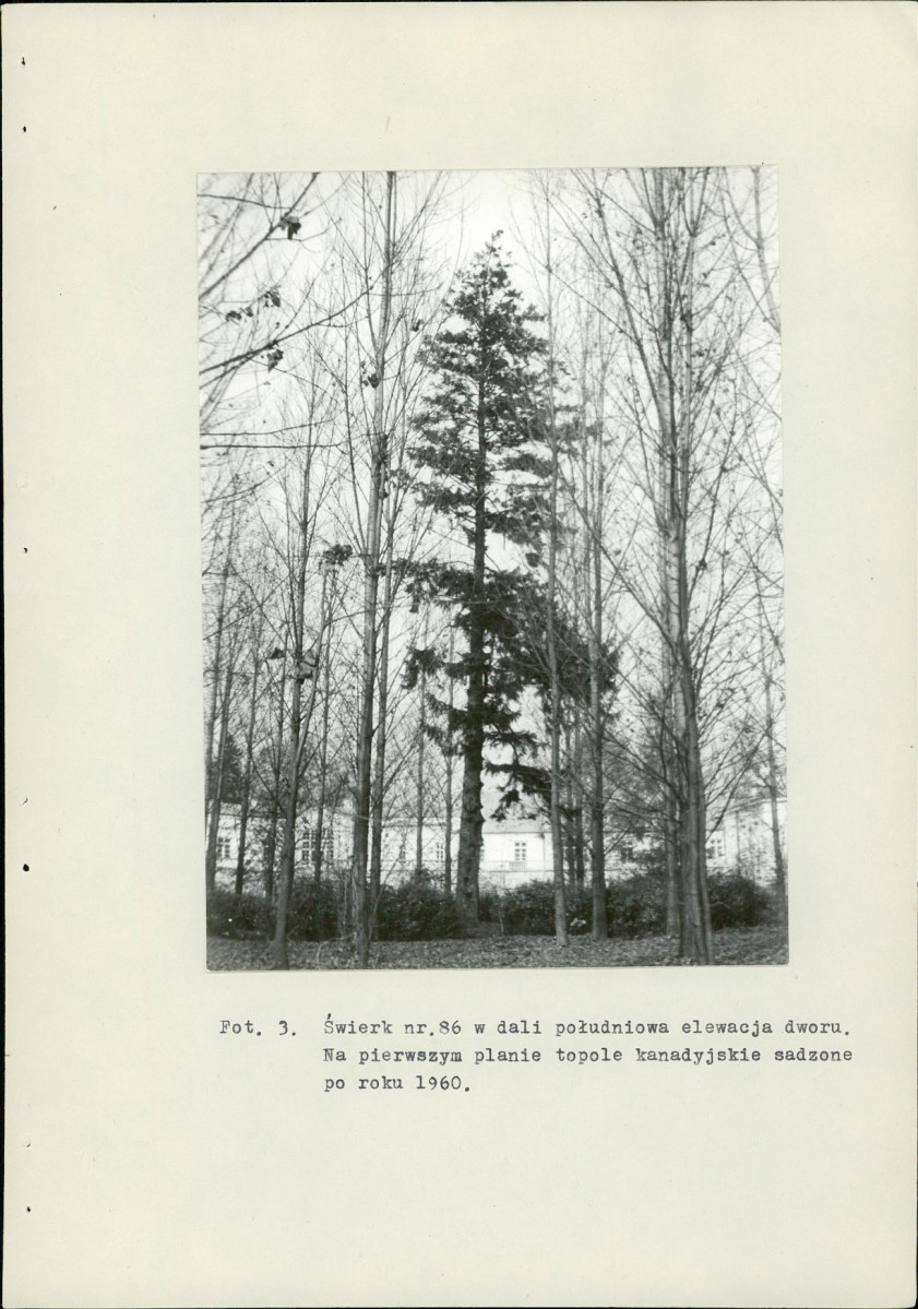 Ewidencja parkowa, skan nr 34