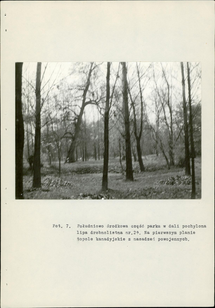 Ewidencja parkowa, skan nr 38