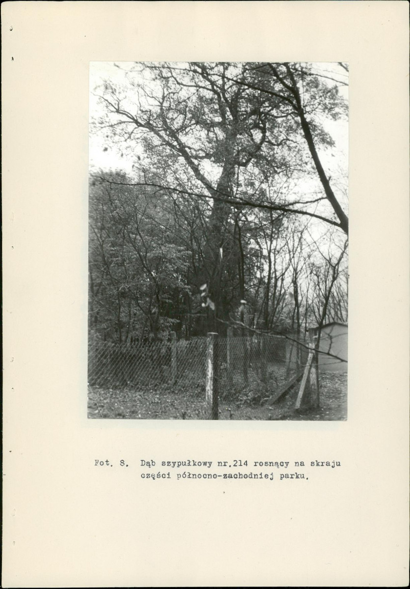 Ewidencja parkowa, skan nr 39