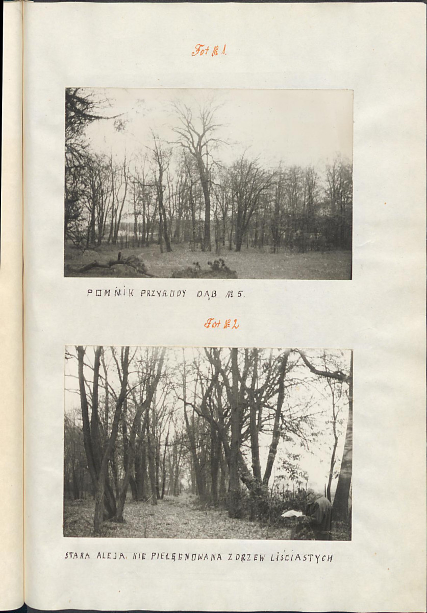 EP - Ewidencja parkowa, skan nr 16