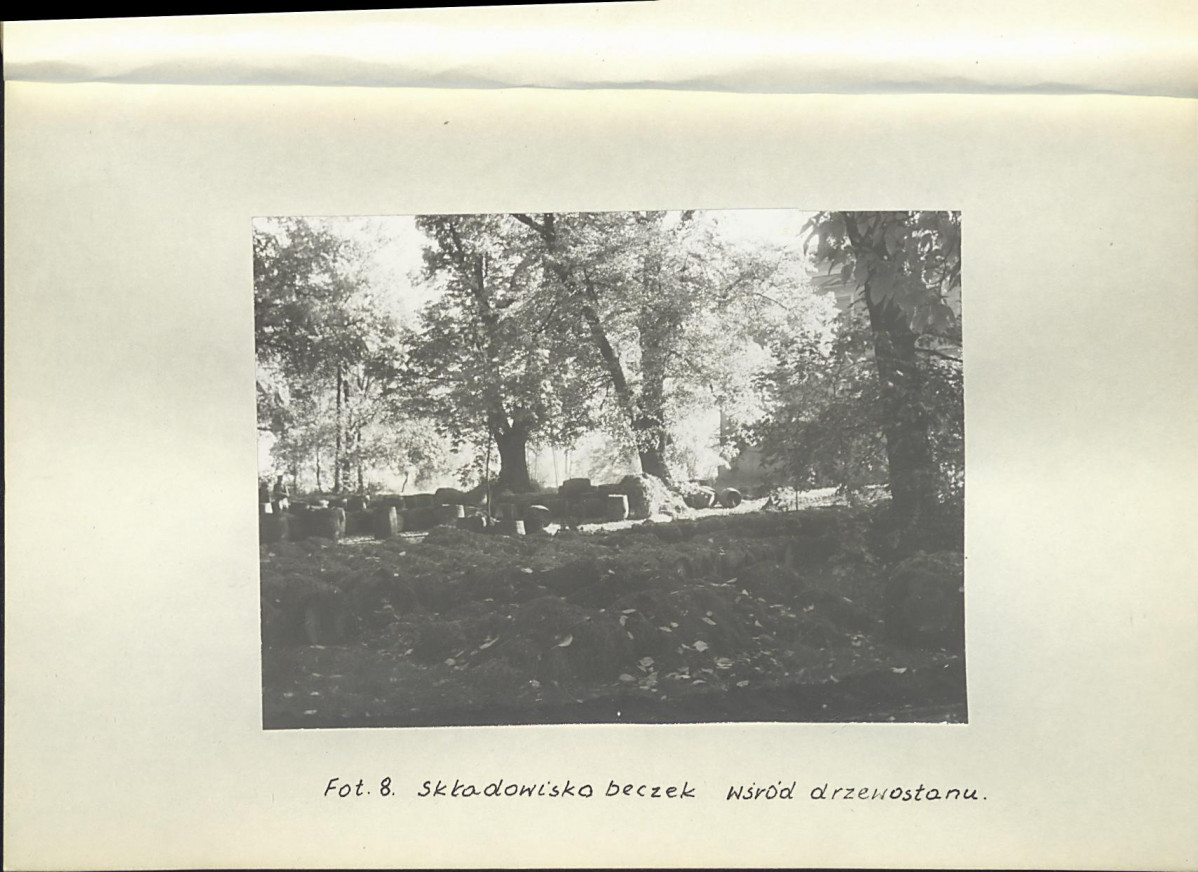 EP - Ewidencja parkowa, skan nr 42