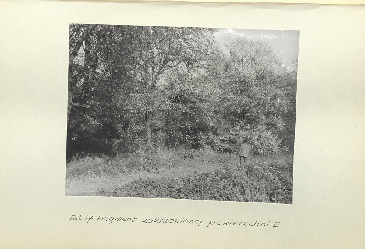 EP - Ewidencja parkowa, skan nr 51
