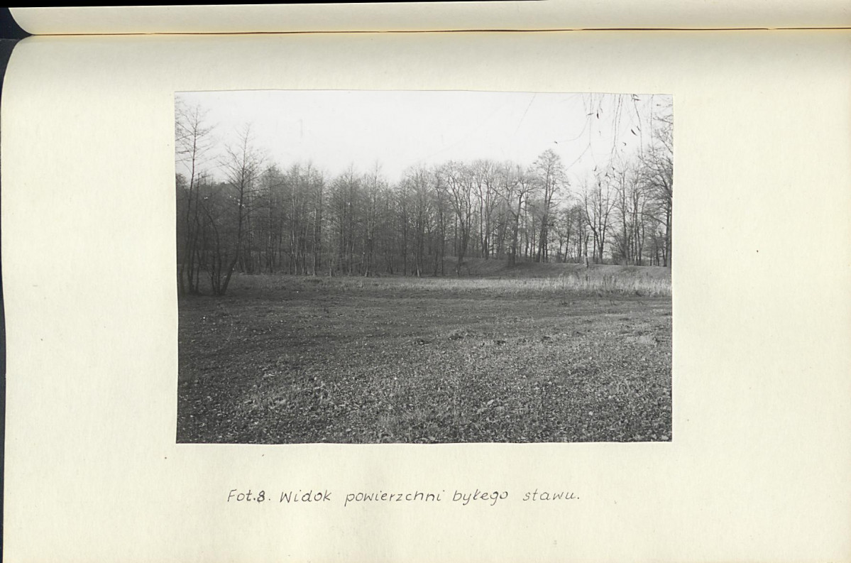 Ewidencja parkowa, skan nr 30