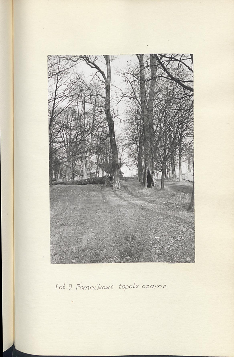 Ewidencja parkowa, skan nr 31