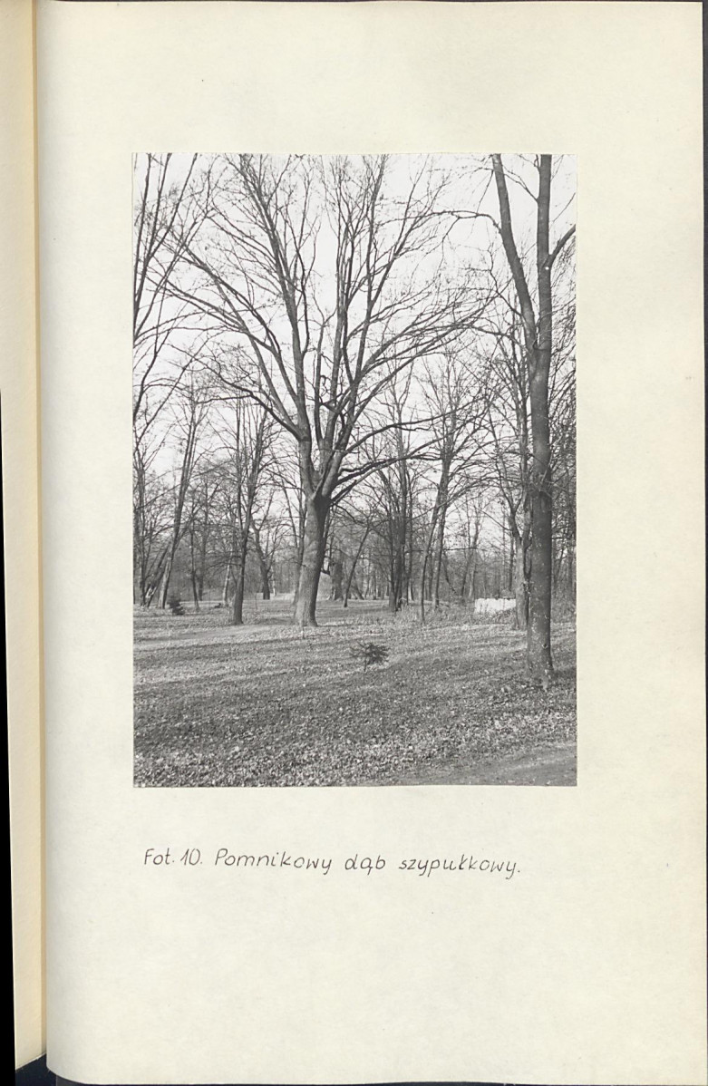 Ewidencja parkowa, skan nr 32